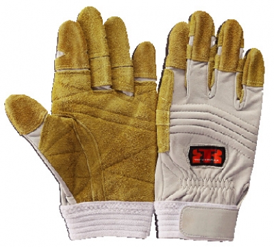 C-317W