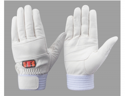 CS-319W