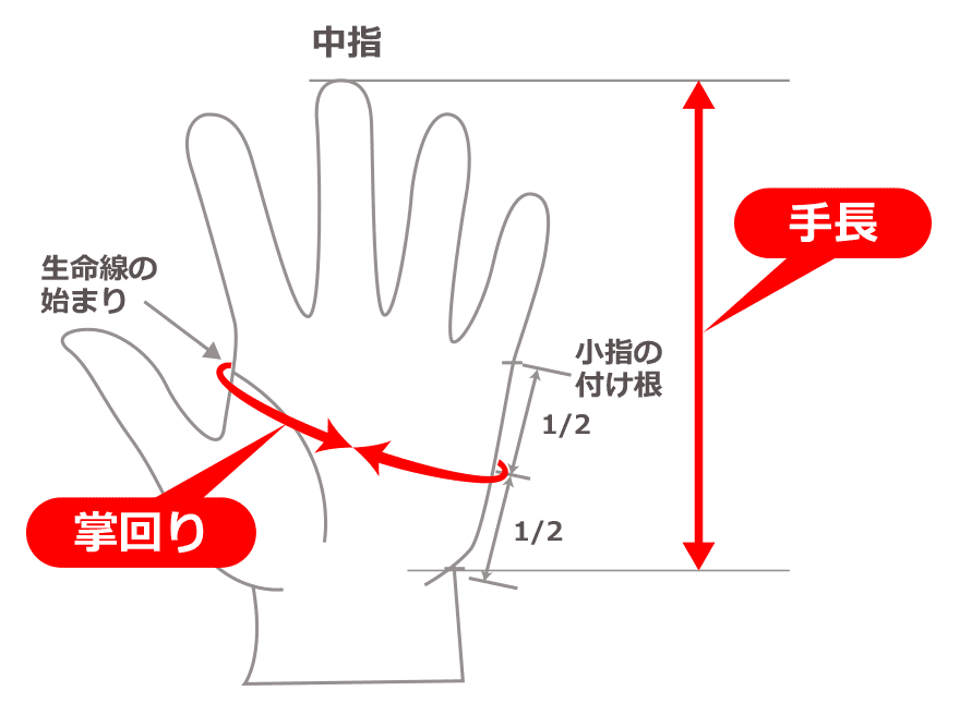 掌回りの測り方
