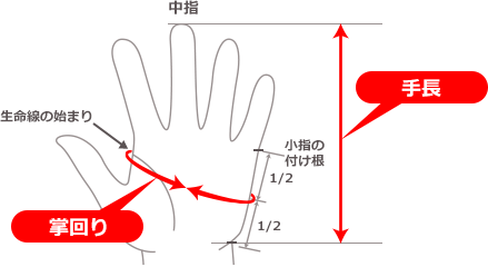 掌回りの測り方