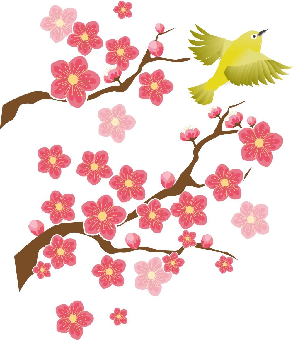 新年度・梅メジロ